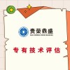 廣東省清遠市專有技術(shù)價值評估