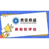 廣東省河源市企業(yè)無形資產(chǎn)找一家企業(yè)資產(chǎn)價值專業(yè)評估今日更新