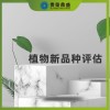 陜西省榆林市無形資產(chǎn)評估植物新品種評估今日更新